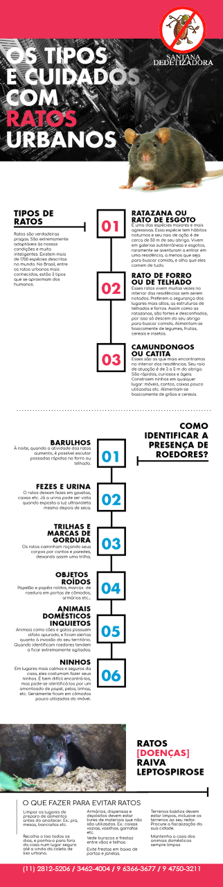 dedetização sem odor 